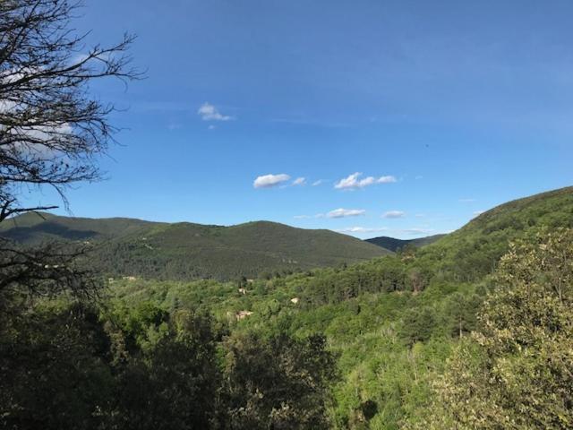 Chambre D'Hote Lavande - Le Soleil Des Cevennes Saint-Jean-du-Gard Exterior foto